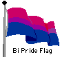 biflag.gif